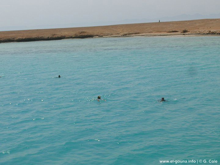 Green Gouna Tawila Island 064